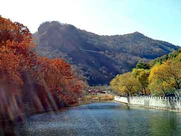 青岛大学分数线（济南大学分数线）